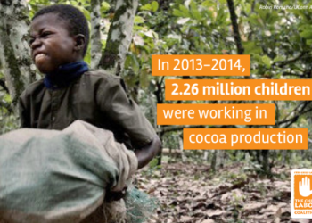 Child working on a cocoa farm - norvanreports