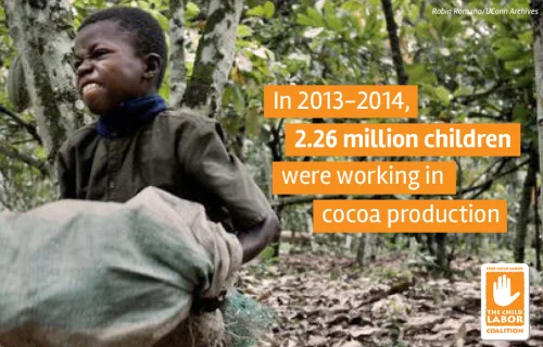 Child working on a cocoa farm - norvanreports