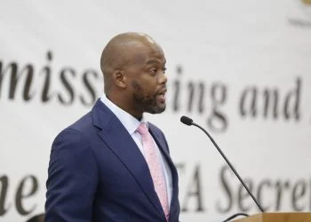 Wamkele Mene - norvanreports