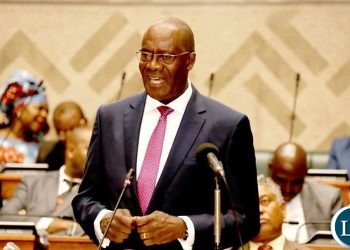 Bwalya-Ngandu, Zambia Finance Minister - norvanreports