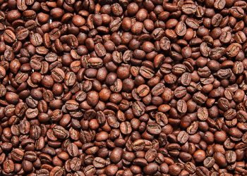Coffee - norvanreports