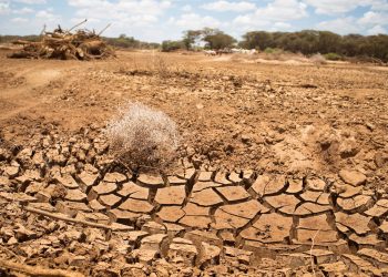 Drylands in Africa - norvanreports
