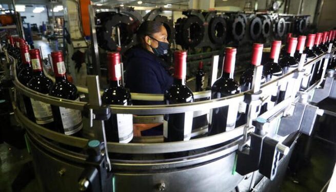 South African wines - norvanreports