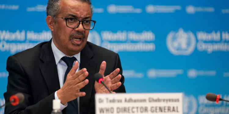 World Health Organization - norvanreports