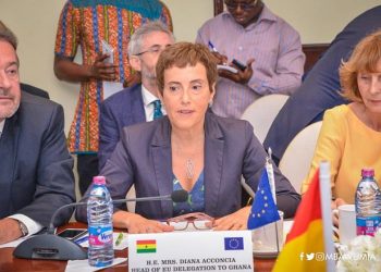 EU Head of Mission, Ambassador Diana Acconcia - norvanreports