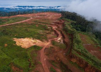 Atewa Forest - norvanreports