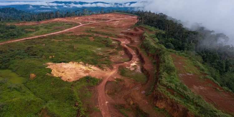 Atewa Forest - norvanreports