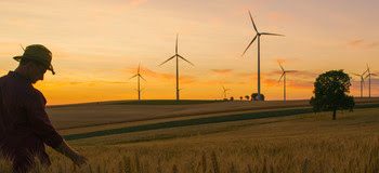 Waist up shot of a farmer in a straw hat standing in a wheat field under a moody sky at sunset with wind turbines visible in the background
