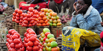 A woman selling tomatoes in a market in Dedza, Malawi, along the border with Mozambique.