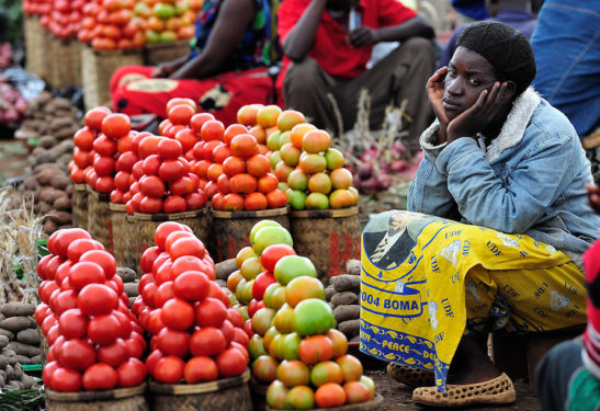 A woman selling tomatoes in a market in Dedza, Malawi, along the border with Mozambique.