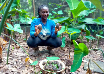 Ama Serwaa Anim, a nurse and client of Trisolace Farms holding snail shells  in Accra, Ghana. Photo Courtesy: Ama Serwaa