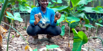 Ama Serwaa Anim, a nurse and client of Trisolace Farms holding snail shells  in Accra, Ghana. Photo Courtesy: Ama Serwaa