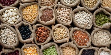 Variety kinds of natural cereal and grain seed in sack and dark tone, for clean food raw material and agricultural product concept
