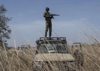 A ranger stands guard on top of a vehicle during an elephant collaring exercise at Pendjari National Park, near Tanguieta on January 10, 2018. - A telemetric or specific monitoring system of key species such as elephants, lions, leopards and cheetah are being implemented at Pendjari National Park by African Parks and the Benin Government in order to understand the movement of key species contributing to anti poaching and conservation efforts. (Photo by STEFAN HEUNIS / AFP)