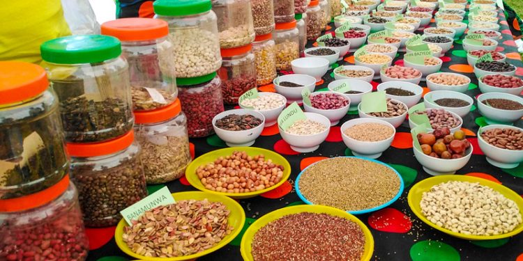 Traditional seeds and food on display in Eastern Zambia. Photo : Misheck Khumbiloo Nyirongo, bird story agency