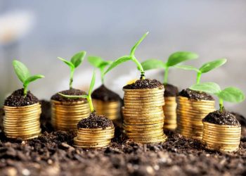 Coins in soil with young plants on background