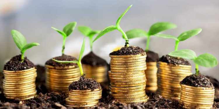 Coins in soil with young plants on background