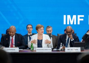 Managing Director Kristalina Georgieva addresses the assembled delegates at the African Caucus and Governors' Meeting during the 2025 Annual Meetings of the World Bank Group and International Monetary Fund in Washington, DC, on October 14, 2025.IMF Photo/Lewis Joly